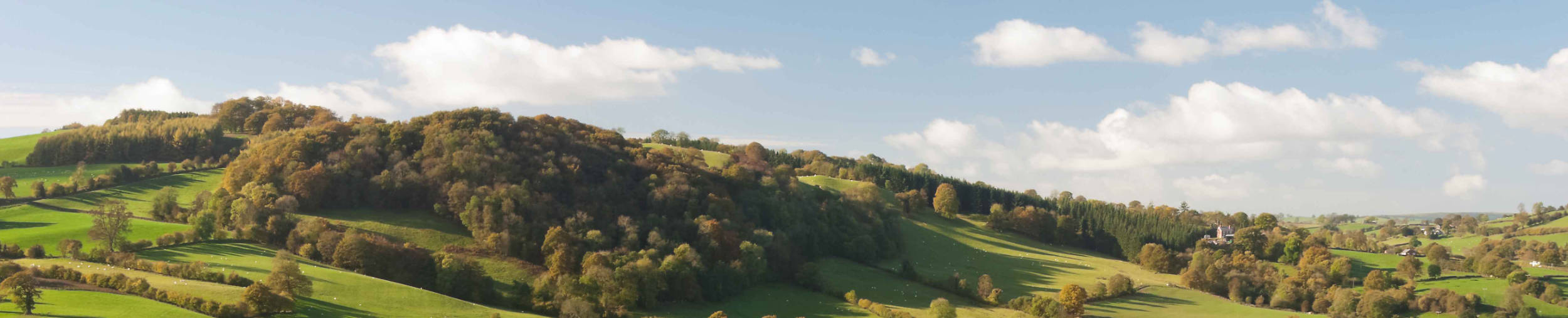 Large pastureland and woods in wales